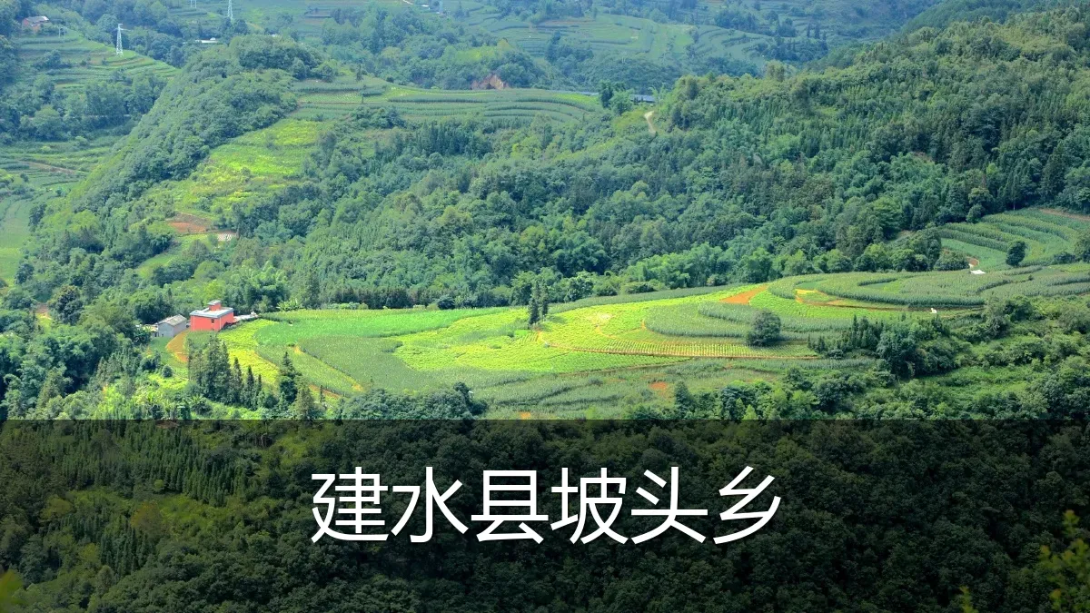 建水县坡头乡